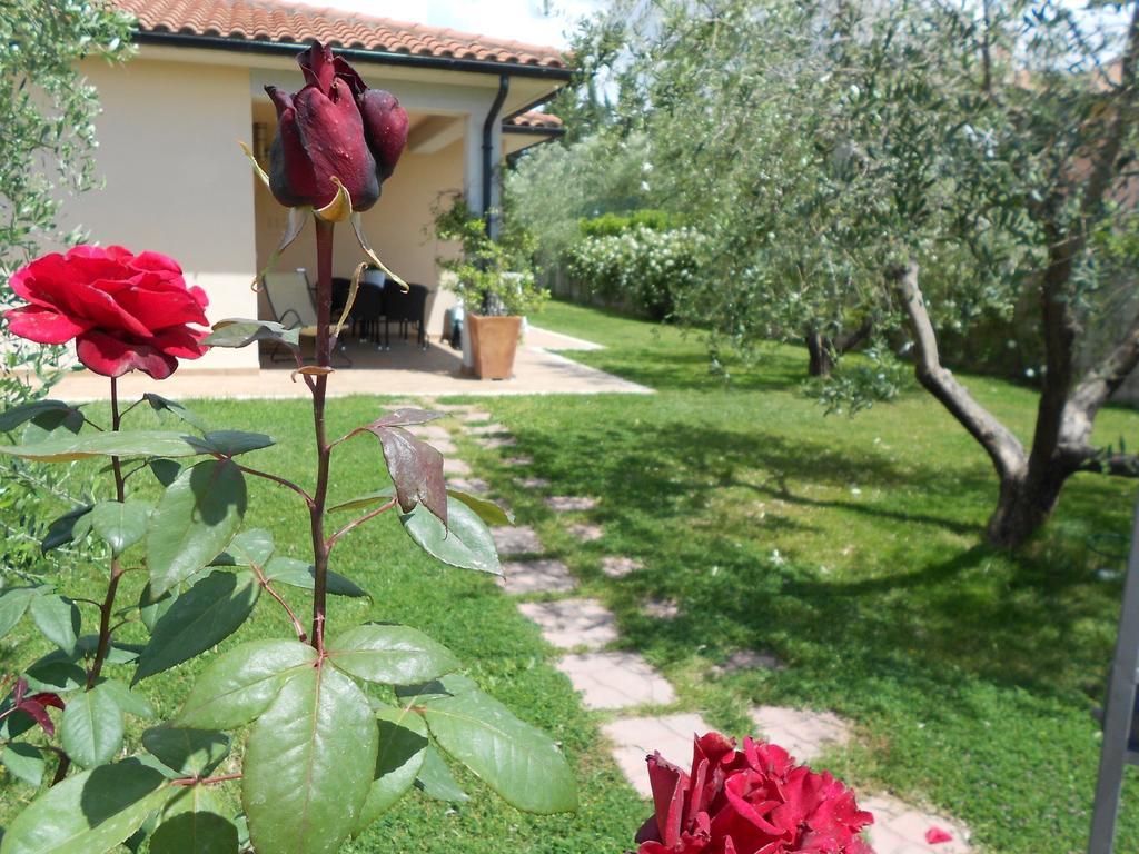 Poggio Degli Olivi Konuk evi Saturnia Dış mekan fotoğraf