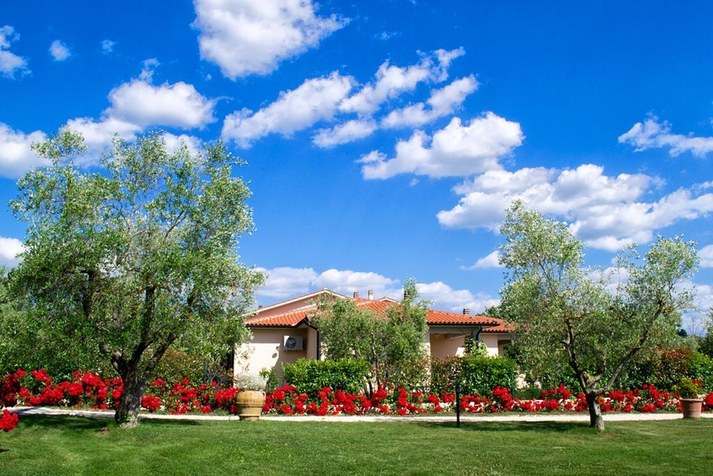 Poggio Degli Olivi Konuk evi Saturnia Dış mekan fotoğraf